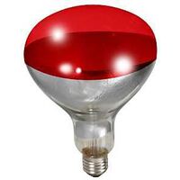 BULB FOR BROODER LAMP RED 250W