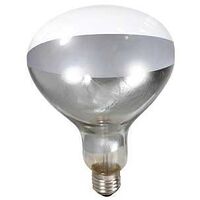 BULB FOR HEAT LAMP CLEAR 250W 