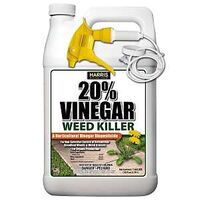 KILLER WEED/GRASS VINEGAR RTU 