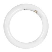 CIRC TUBE LT TP 4PIN 3CCT 22W 