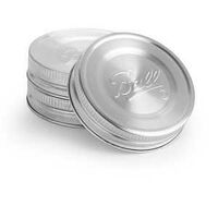 REGULAR MOUTH MASON JAR LID SS