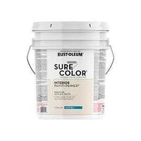 PAINT&PRIMER EGSHL ANT WHT 5GA