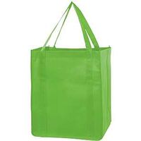 BAG FOLDING REUSABLE GREEN LIM