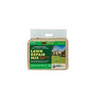 LAWN REPR MIX TALL FESCUE 11LB