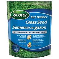 SEED GRASS ALL-PURPOSE 1KG    