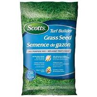 SEED GRASS ALL-PURPOSE 5KG    