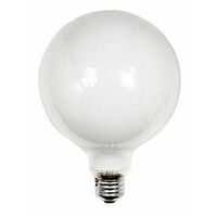 BULB INCAN G40 E26 SFT WHT 60W