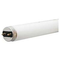 TUBE FLOU T8 COOL WHT 18W 24IN