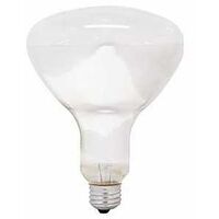 BULB INCAN HEAT R40 CLEAR 250W