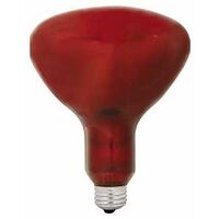 BULB INCAN HEAT R40 RED 250W  