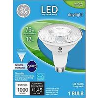 BULB FLDLT LED PAR30 DAYLT 12W