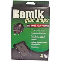 Ramik 116220 Non-Toxic Pre-Baited Ready-To-Use Glue Trap