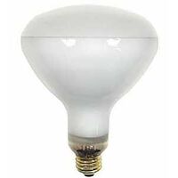 BULB INCAN R40 E26 WRMWHT 125W