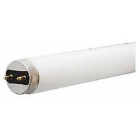 TUBE FLOU T8 COOL WHT 32W 48IN