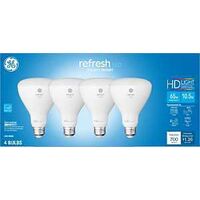 BULB LED HD BR30 DAY          