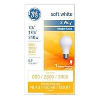 15846 INC SOFT WHITE 240W     