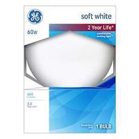 49780 INC SOFT WHITE 60W G40  