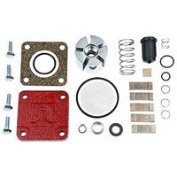 Fill-Rite 4200KTF8739 Pump Repair Kit
