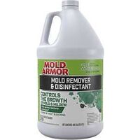 MOLD REMOVE/DISINFECTANT 1GAL 