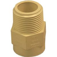 Genova Products 50407 CPVC Male Adapter