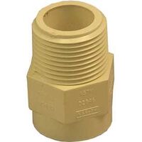 Genova Products 50407 CPVC Male Adapter