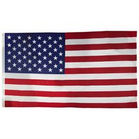 Valley Forge US5PN USA Flag