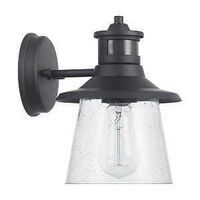 WALL SCONCE MTN SEEDED MB 9IN 