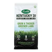 GRS SEED MIX KENTUCKY 31 20LB 