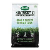 GRS SEED MIX KENTUCKY 31 40LB 