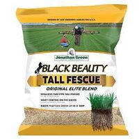 BLACK BEAUTY TALL FESCUE 3LB  