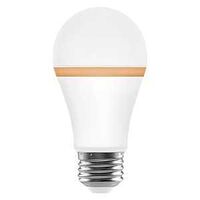 LT BULB W/NTLT RING 2700K 60W 