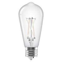 LT BULB ST19 WHT FIL 5CCT 60W 