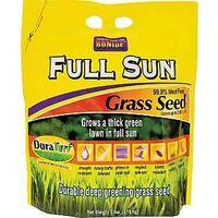 SEED GRASS SUN FULL 7LB BG