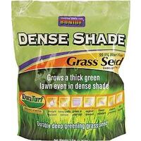 SEED GRASS SHD DENSE 3LB BG