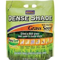 SEED GRASS DENSE SHADE 7LB    