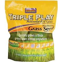 SEED GRASS RYE TRIPLE PLAY 3LB