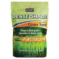 SEED GRASS DENSE SHADE 20LB   
