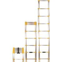Xtend+Climb Home Telescoping Ladder