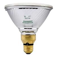 Capsylite 15539 Tungsten Halogen Lamp