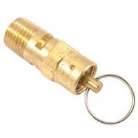 SAFETY VALVE BRS 150PSI 1/4IN 