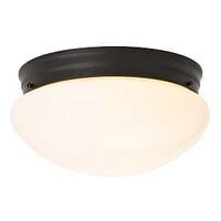 CEIL LT 2LT FLUSH MT MB 9.25IN