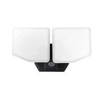 FLOOD LT AC 2HD BLK D2D 3000LM