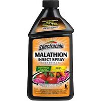 CONCENTRATE SPRAY INSECT 32OZ 