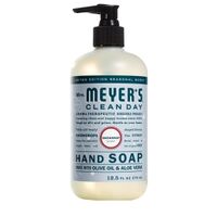 HAND SOAP SNOW DRP SCNT 12.5OZ