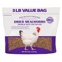MEALWORMS DRIED 5LB           