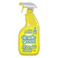 CLEANER ALL PRPS LMON SCT 22OZ