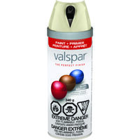Valspar 85004 Multi-Surface Enamel Spray Paint