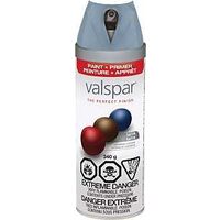 Valspar 85029 Multi-Surface Enamel Spray Paint