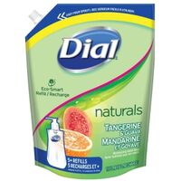 Dial 1246114 Anti-Bacterial Hand Soap Refill Pouch
