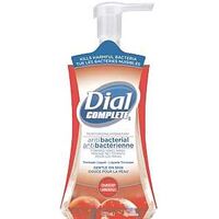 Dial Complete 1327461 Anti-Bacterial Foaming Hand Wash